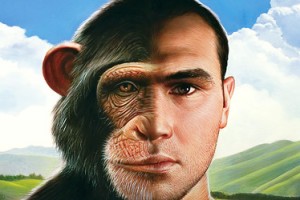 Chimp-human picture