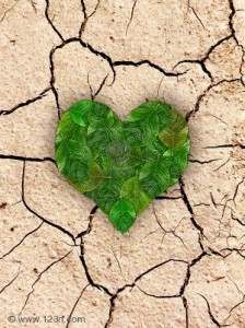 Heart on cracked soil