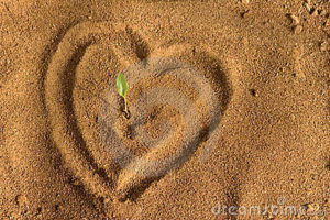 Heart on Soil