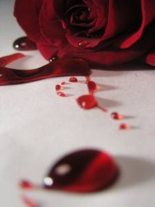 Bleeding rose